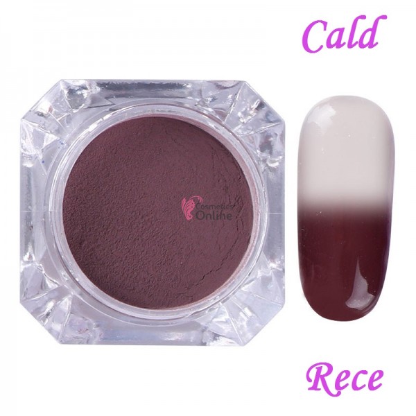 Pigment pentru unghii NADP006LL Cameleon Termic de 2gr + 1 aplicator